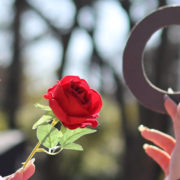 柊のプロフィール画像