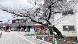 阪神尼崎駅前「中央公園」リニューアルオープン！